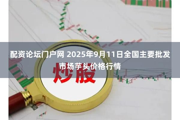配资论坛门户网 2025年9月11日全国主要批发市场芋头价格行情