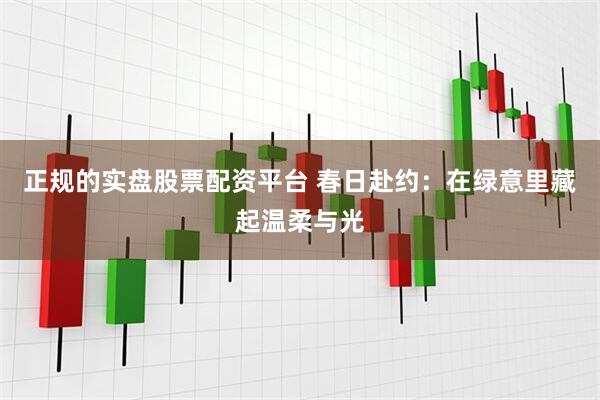 正规的实盘股票配资平台 春日赴约：在绿意里藏起温柔与光
