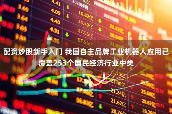 配资炒股新手入门 我国自主品牌工业机器人应用已覆盖253个国民经济行业中类